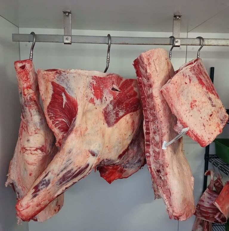 Beef Carcasses in Fridge